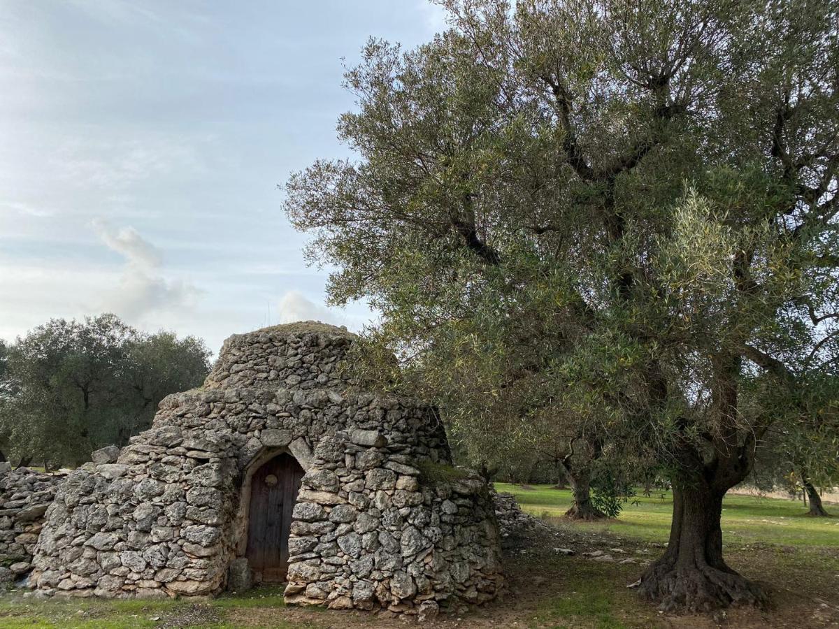 Casa Vacanze Lisa Torre Ovo Luaran gambar