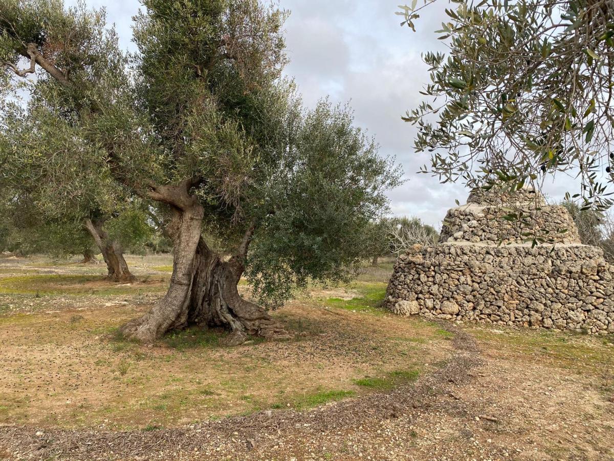 Casa Vacanze Lisa Torre Ovo Luaran gambar